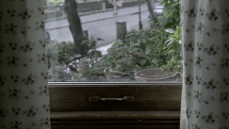 (BIRD TWEETING)