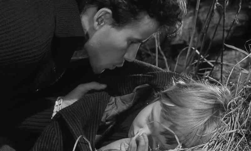 (Bird whistle)