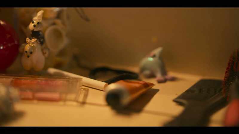 (BIRDS CALL)