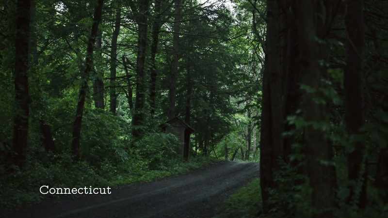 (birds chirping) -(car approaching)