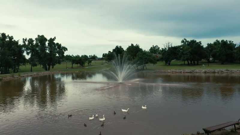 [birds chirping] [fountain sprinkling]