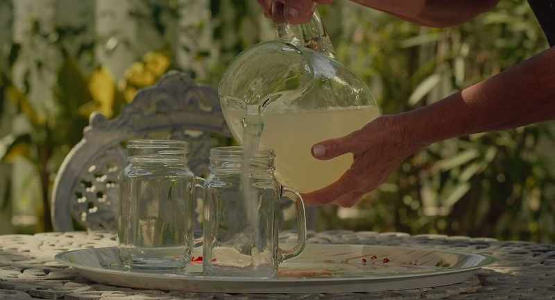 (Birds chirping) (Lemonade burbling)