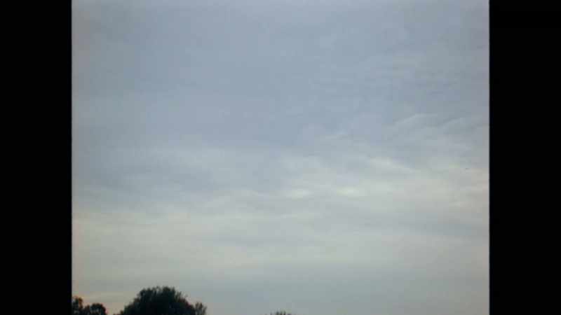 (BIRDS CHIRPING) - (ROOSTER CROWING)