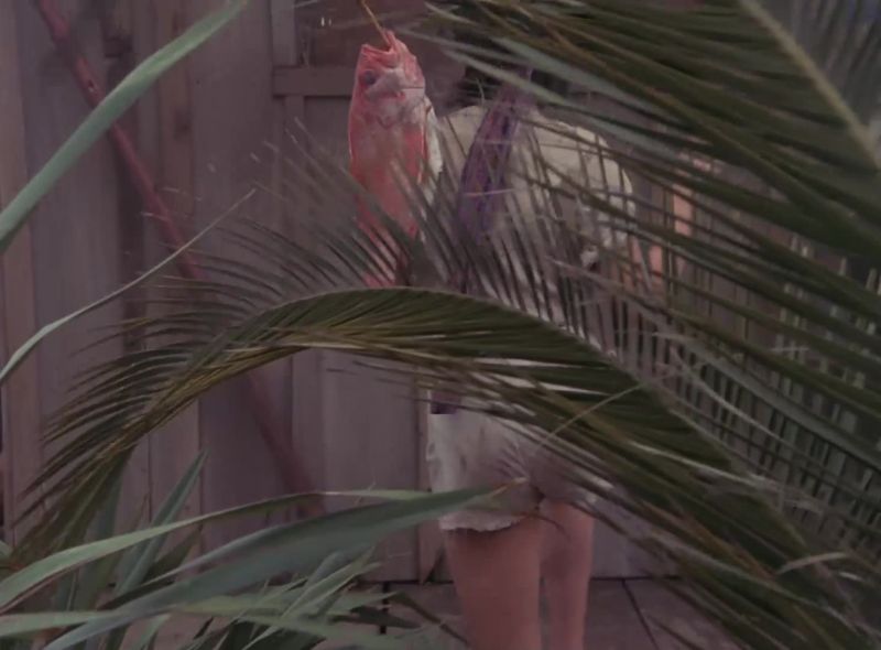 [birds chirping]