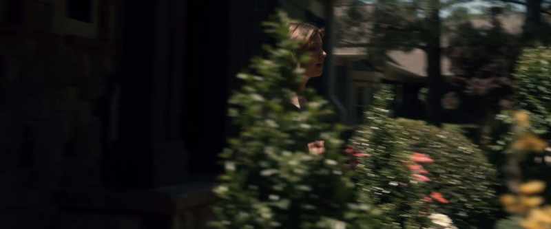 [birds chirping]