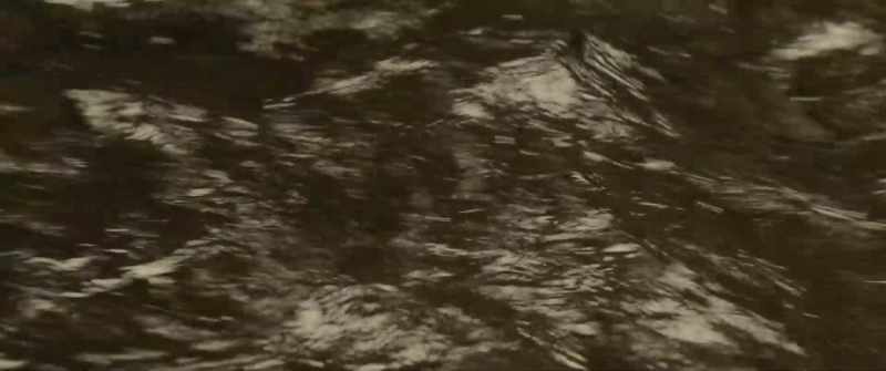 [birds chirping] -[water trickling]