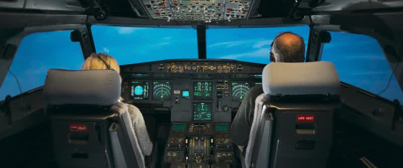 Birds! Flight Director off. 35 seconds. Engine 1 and 2 fail