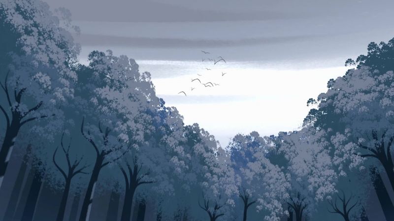 (BIRDS SQUAWKING)