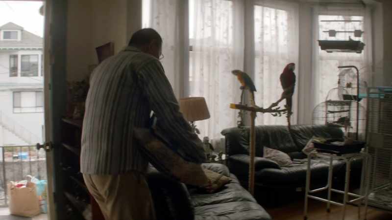 [ Birds squawking ]