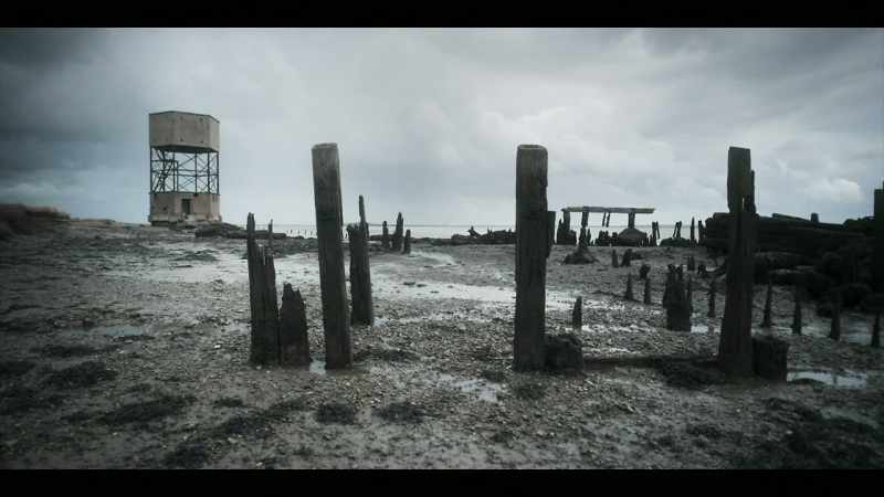 (birds squawking) -(waves washing ashore)