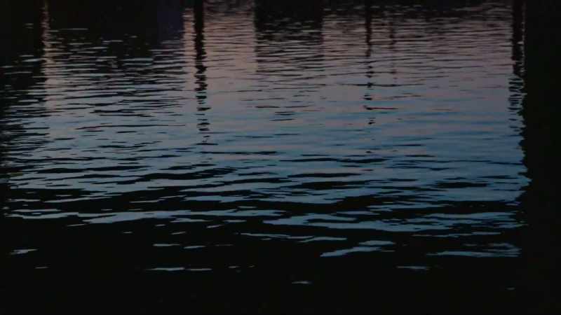 [Birdsong; Water ripples]
