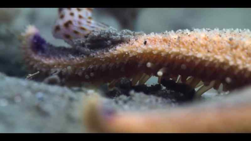 Biting and pushing are futile