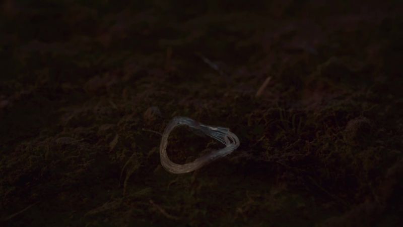 [BJORN SPITS] The harp string