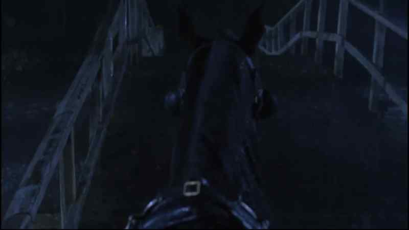 BLACK BEAUTY: Everything inside me screamed not to go any further
