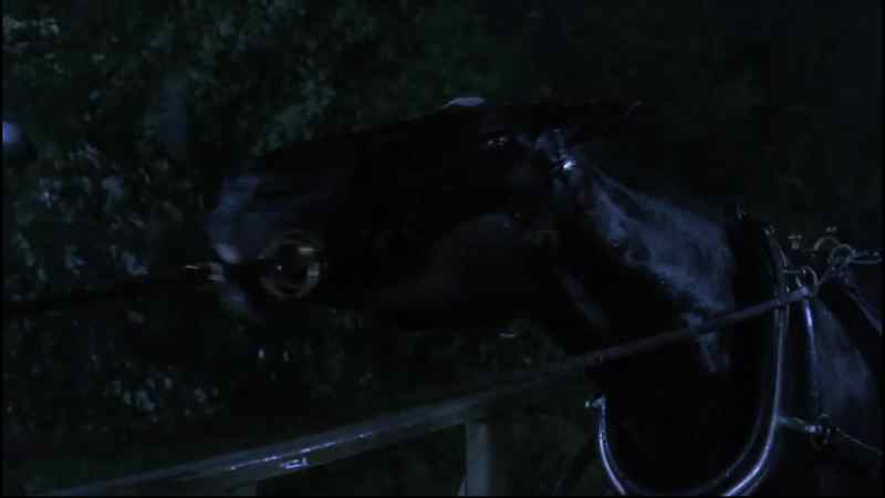 BLACK BEAUTY: I didn't know how long I could hold on to him