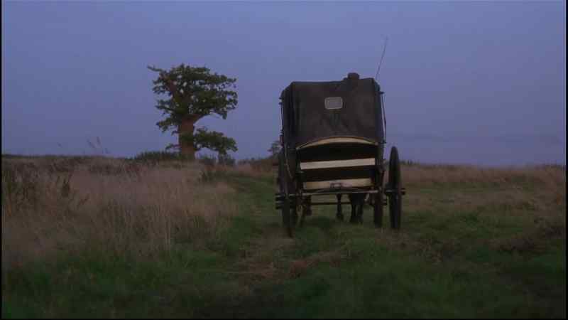 BLACK BEAUTY: Joe saved us