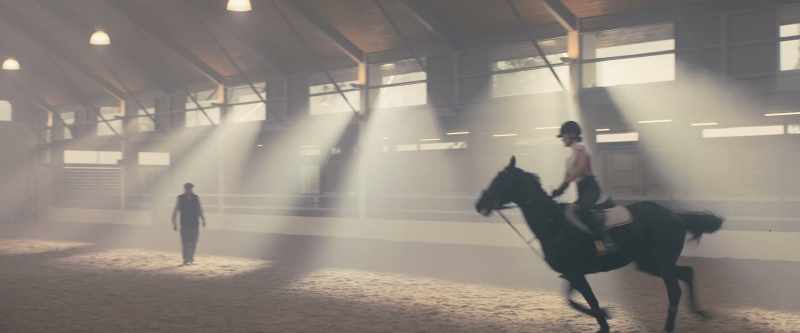 [Black Beauty nickers]