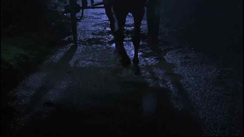 BLACK BEAUTY: The bridge was flooded