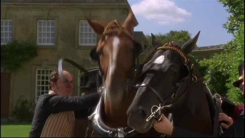 BLACK BEAUTY: When a bearing rein is tightened, it pulls back your head