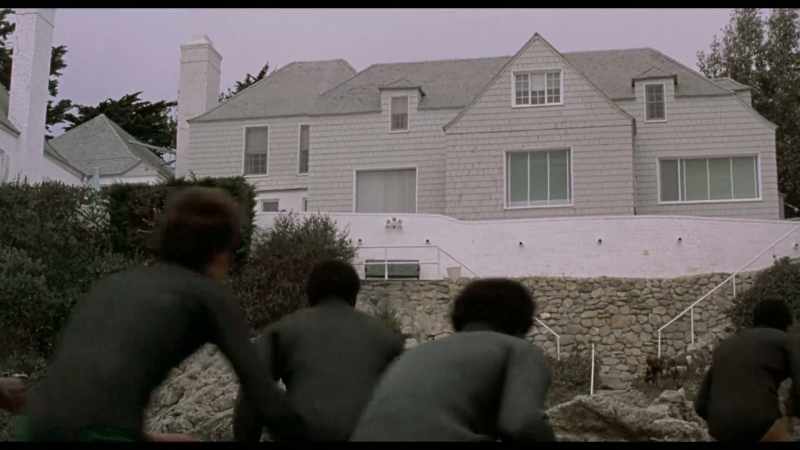 Black films created a warrior class