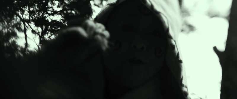 Blade of the immortal