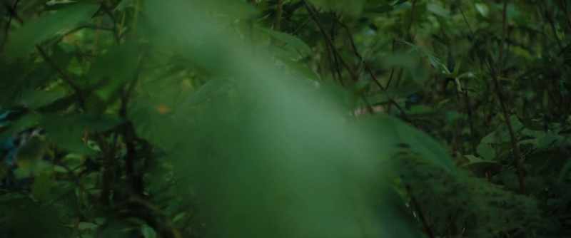 [blade slicing through underbrush]
