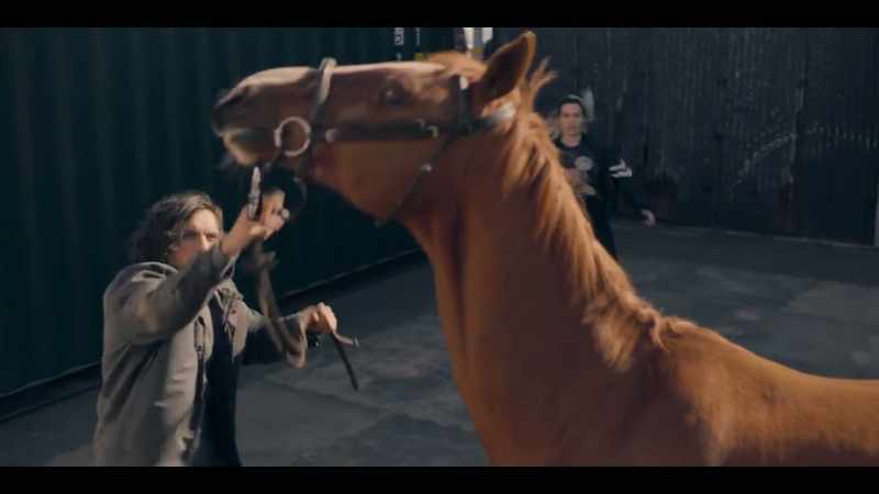 Blaze! Let go of her! - [NEIGHS]