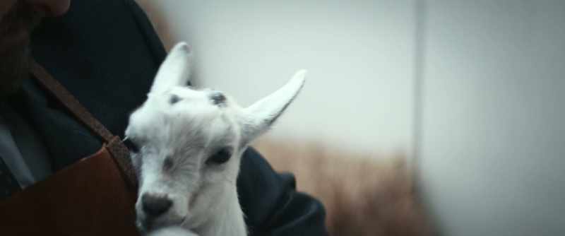 [bleating]