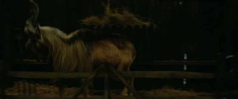 (Bleating)