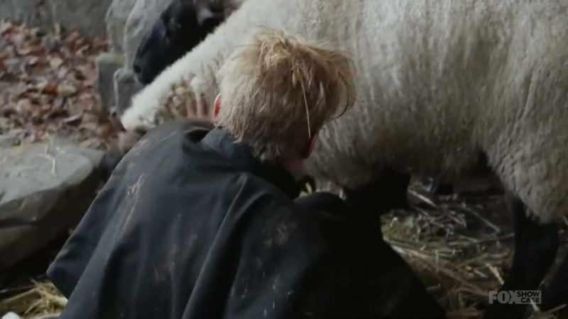 (BLEATING)