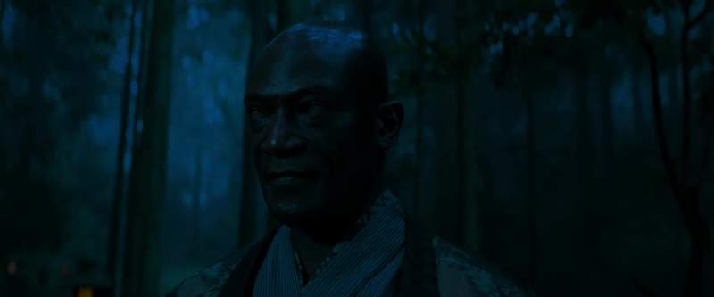 Blind Master Every warrior has a weakness your enemy can exploit