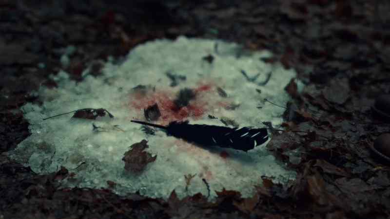 Blood is definitely worrisome, but