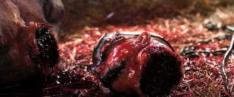 (blood dripping)