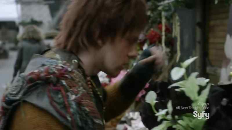 Blood lilies