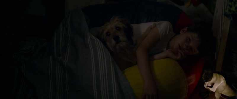 {\ blur3.7}(BARKS) (GASPS)
