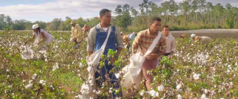 Bo? - Is he all right?