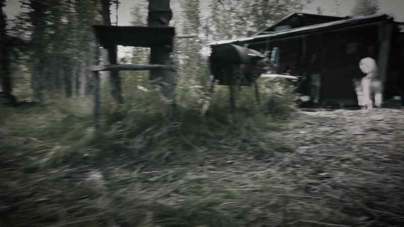 BOB: I built this cabin in 1975