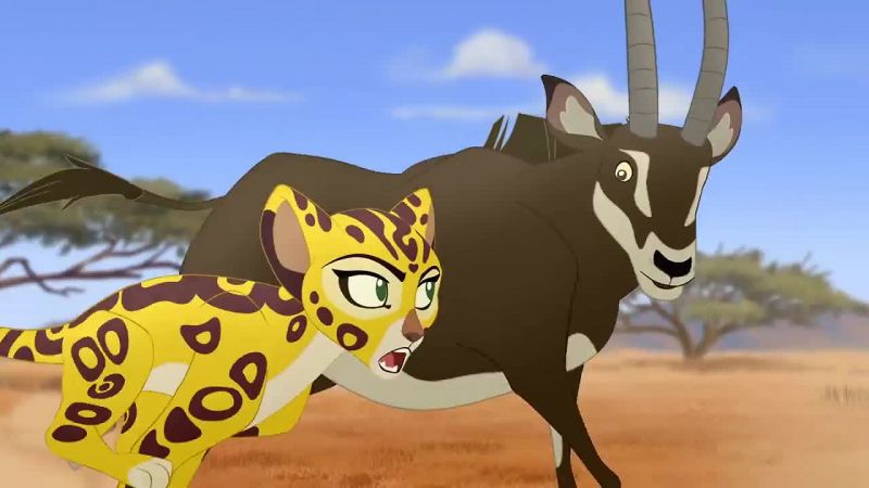 Boboka. What's going on? Why are you stampeding?