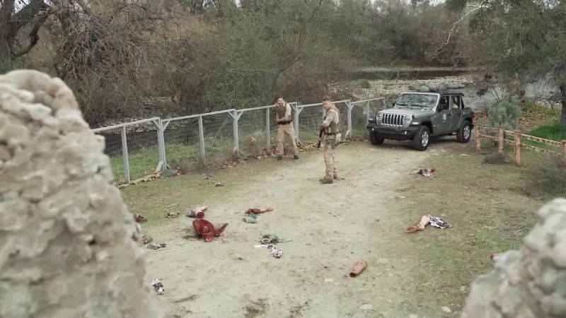 Body parts everywhere
