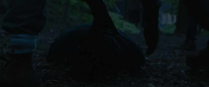 [body thuds]