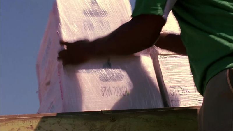 Bogale: Move those boxes quick, quick. Let's move! Hurry, hurry, hurry!