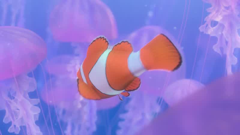 Boing. Boing. - Dory!