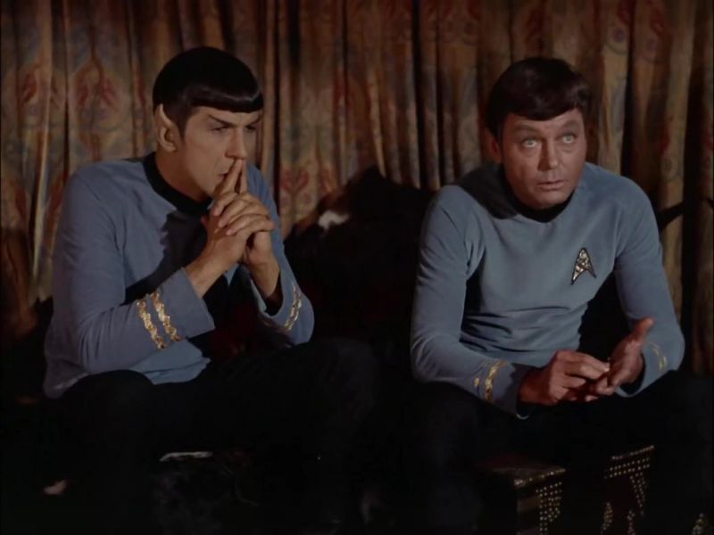 Bones