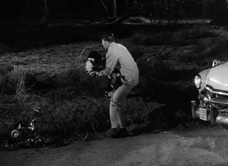 Bonzo! How on earth did you ever get out here? Did Jane