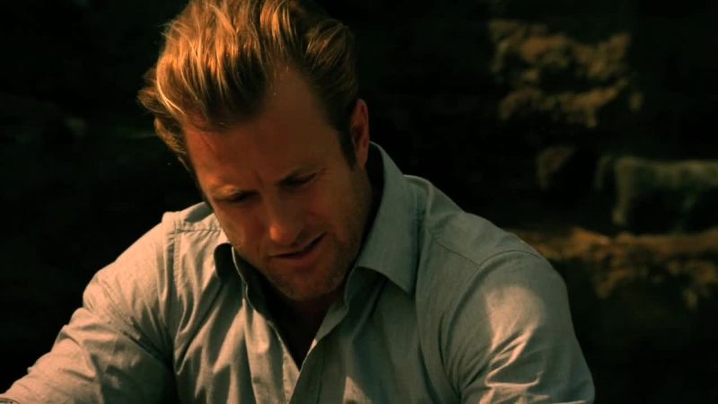 Book him Danno