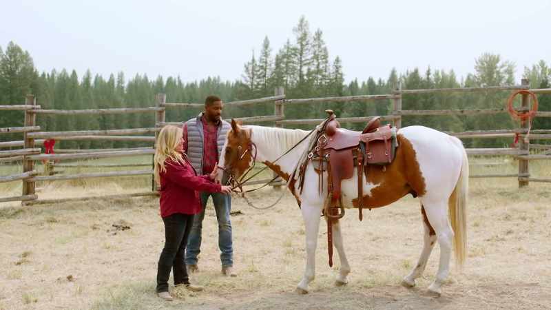Boot in a stirrup, butt in a saddle, easy peasy