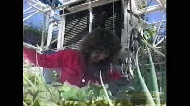 � Botanist Linda Leigh was sealed
