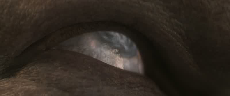 Is he under?