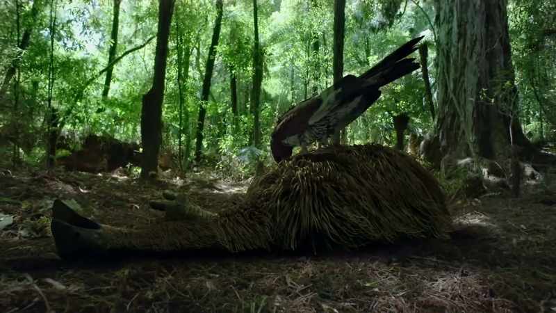 Both moa and giant eagles became extinct