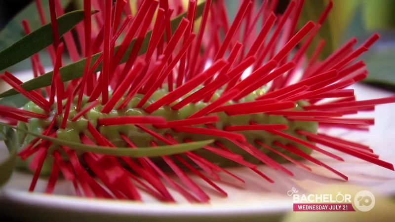 Bottlebrush, Mum's gumnuts and billy buttons